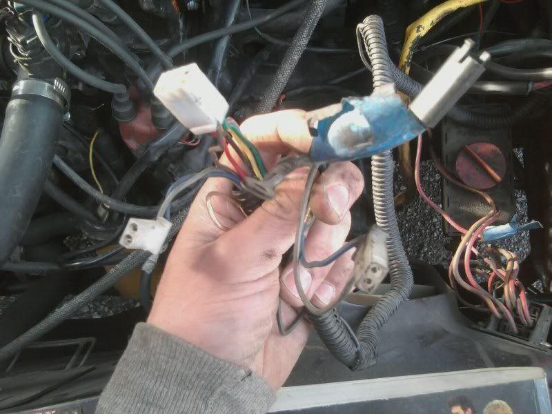 reverse lights quiestion VW Vortex Volkswagen Forum